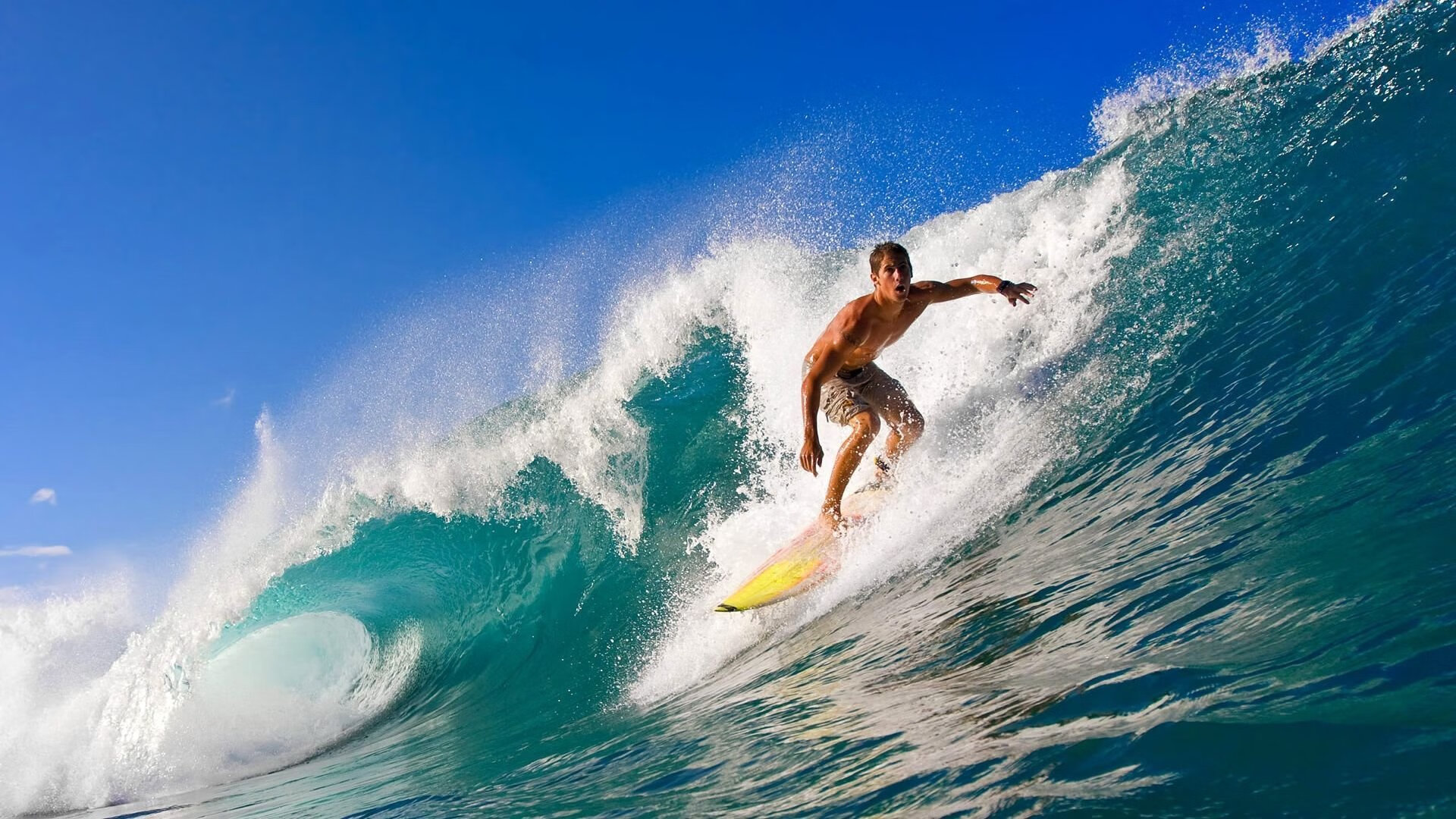 体育明星参与乡村振兴体育帮扶计划，体育在乡村振兴中发挥的作用